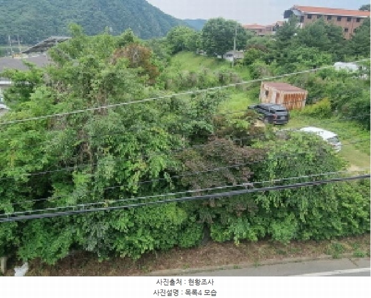 2025타경3506 세종특별자치시 장군면 금암리 302-22 대지 경매 이미지