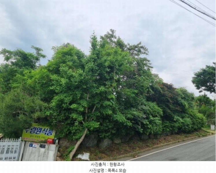 2025타경3506 세종특별자치시 장군면 금암리 302-22 대지 경매 이미지