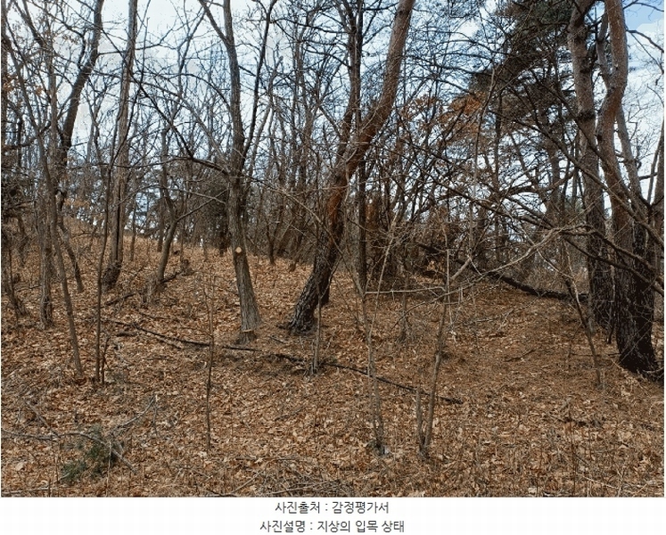 2025타경3538 경상북도 포항시 남구 연일읍 학전리 산59-22 임야 경매 이미지