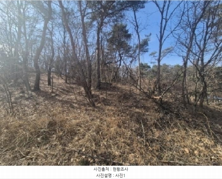 2025타경3538 경상북도 포항시 남구 연일읍 학전리 산59-22 임야 경매 이미지