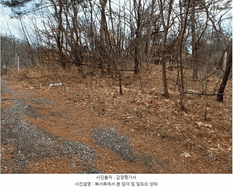 2025타경3538 경상북도 포항시 남구 연일읍 학전리 산59-22 임야 경매 이미지