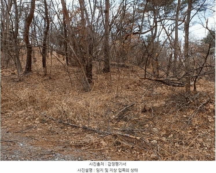 2025타경3538 경상북도 포항시 남구 연일읍 학전리 산59-22 임야 경매 이미지
