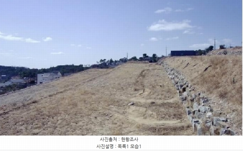 2025타경501853 세종특별자치시 장군면 대교리 79-171 임야 경매 이미지