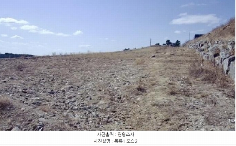 2025타경501853 세종특별자치시 장군면 대교리 79-171 임야 경매 이미지