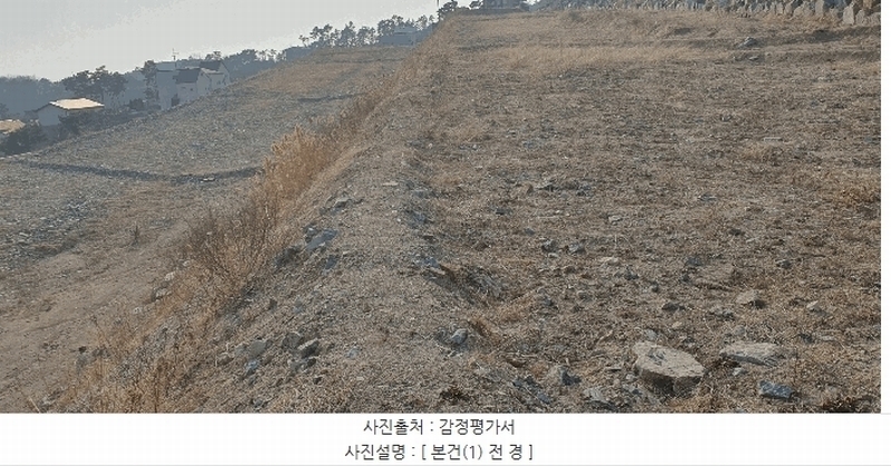 2025타경501853 세종특별자치시 장군면 대교리 79-171 임야 경매 이미지