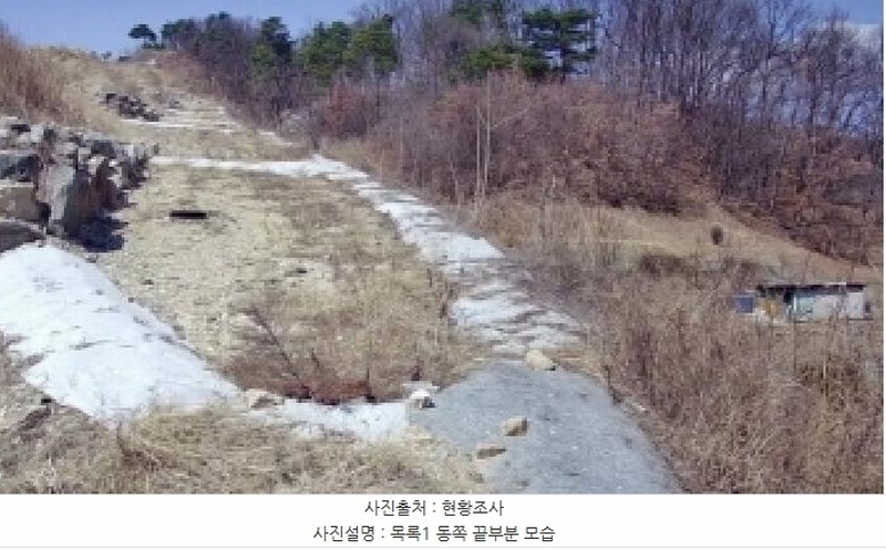 2025타경501853 세종특별자치시 장군면 대교리 79-171 임야 경매 이미지