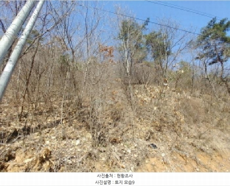 2025타경501877 충청남도 금산군 남이면 성곡리 산126 임야 경매 이미지