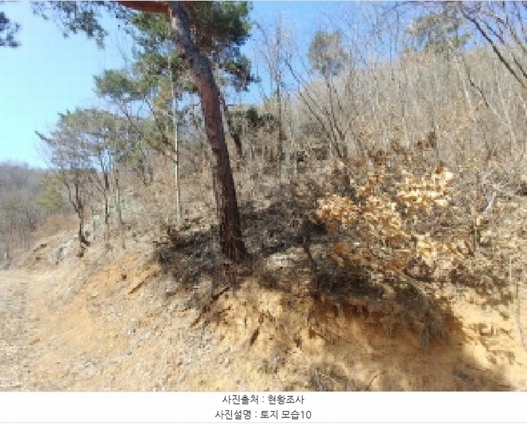 2025타경501877 충청남도 금산군 남이면 성곡리 산126 임야 경매 이미지