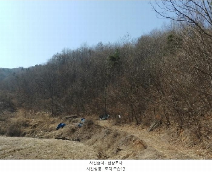 2025타경501877 충청남도 금산군 남이면 성곡리 산126 임야 경매 이미지