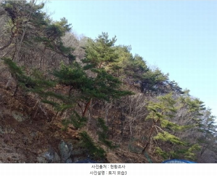 2025타경501877 충청남도 금산군 남이면 성곡리 산126 임야 경매 이미지