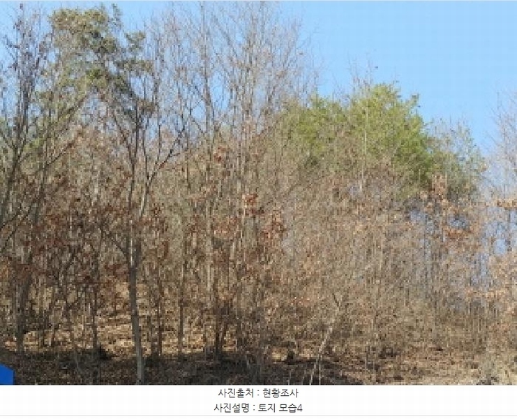 2025타경501877 충청남도 금산군 남이면 성곡리 산126 임야 경매 이미지