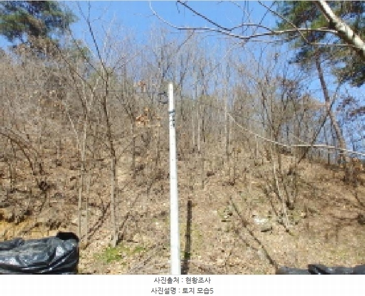 2025타경501877 충청남도 금산군 남이면 성곡리 산126 임야 경매 이미지
