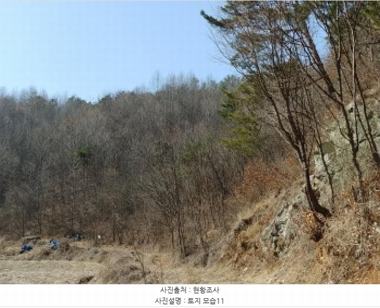 2025타경501877 충청남도 금산군 남이면 성곡리 산126 임야 경매 이미지