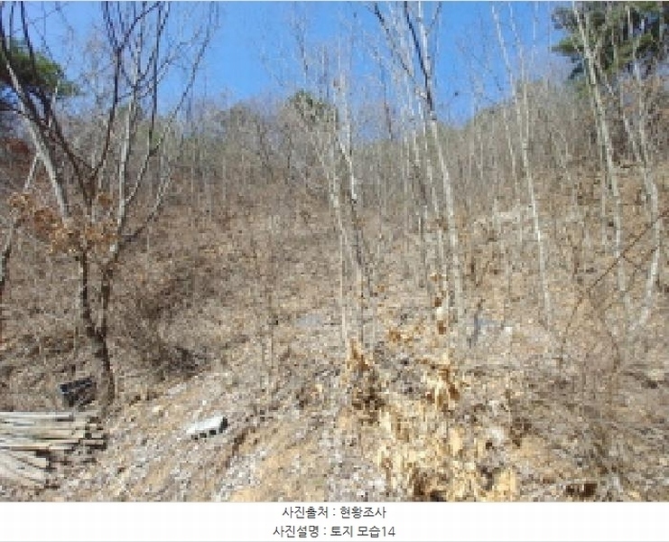 2025타경501877 충청남도 금산군 남이면 성곡리 산126 임야 경매 이미지