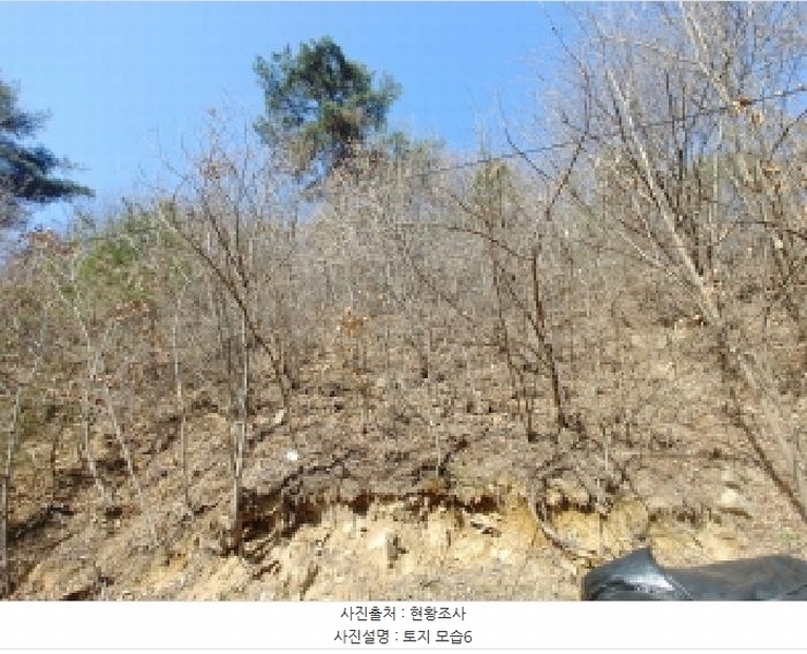 2025타경501877 충청남도 금산군 남이면 성곡리 산126 임야 경매 이미지