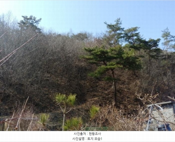 2025타경501877 충청남도 금산군 남이면 성곡리 산126 임야 경매 이미지
