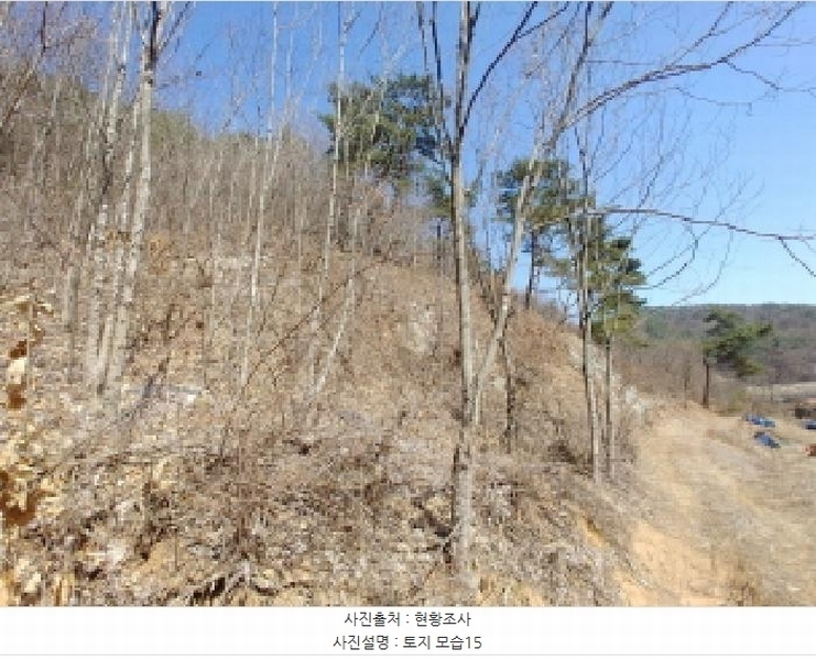 2025타경501877 충청남도 금산군 남이면 성곡리 산126 임야 경매 이미지