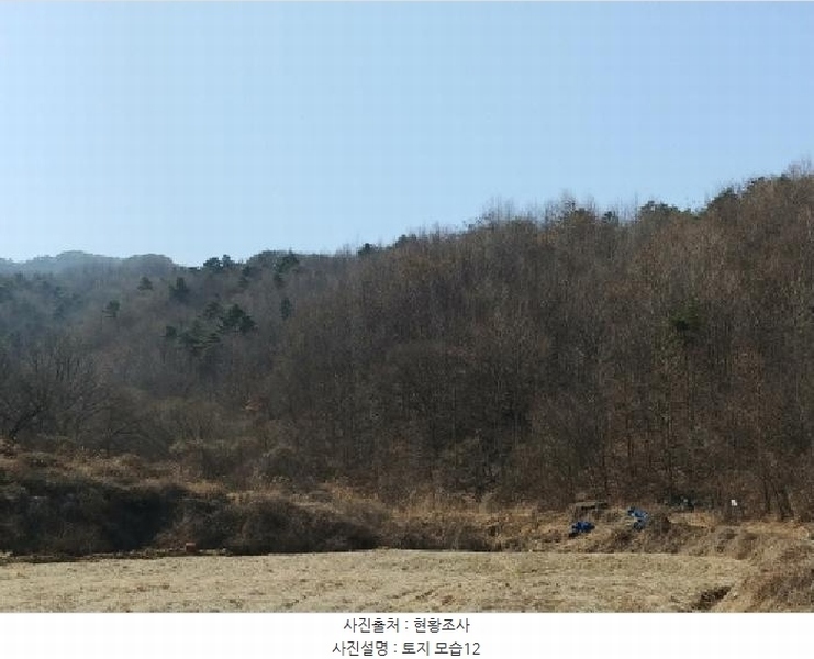 2025타경501877 충청남도 금산군 남이면 성곡리 산126 임야 경매 이미지