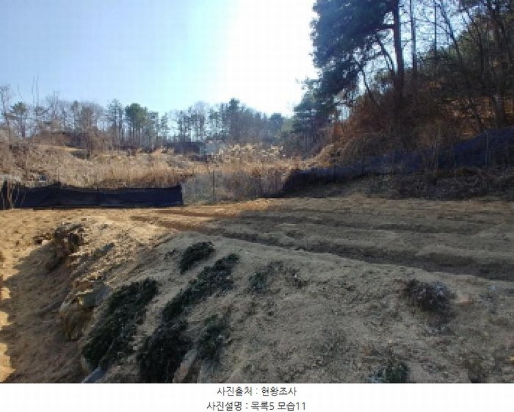 2025타경502032 충청남도 금산군 남일면 신정리 624 농지 경매 이미지