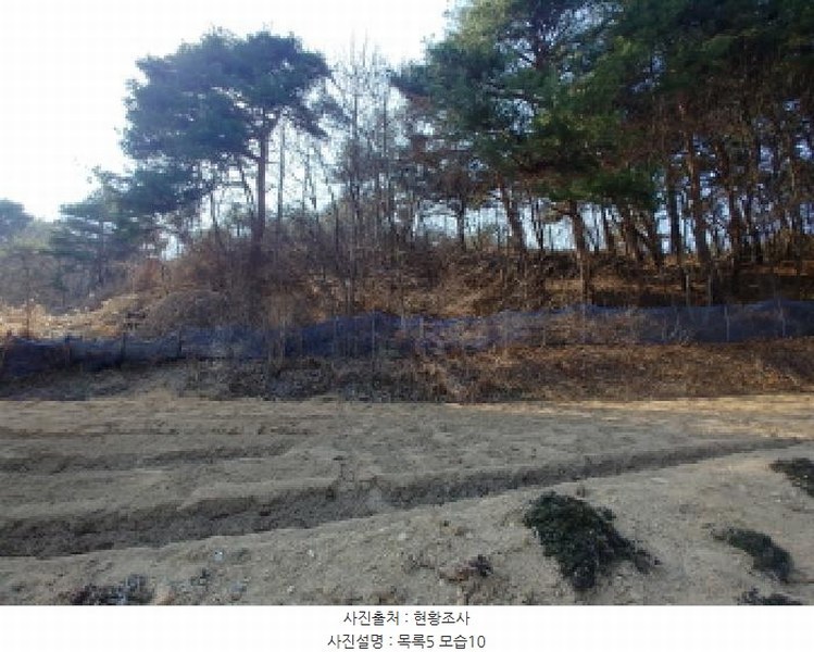 2025타경502032 충청남도 금산군 남일면 신정리 624 농지 경매 이미지