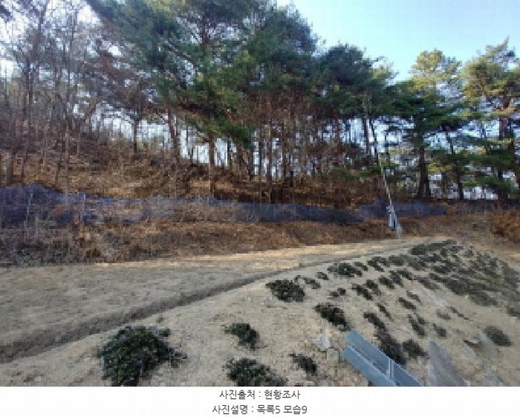 2025타경502032 충청남도 금산군 남일면 신정리 624 농지 경매 이미지