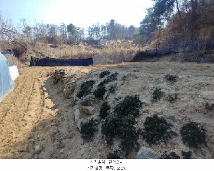 2025타경502032 충청남도 금산군 남일면 신정리 624 농지 경매 이미지