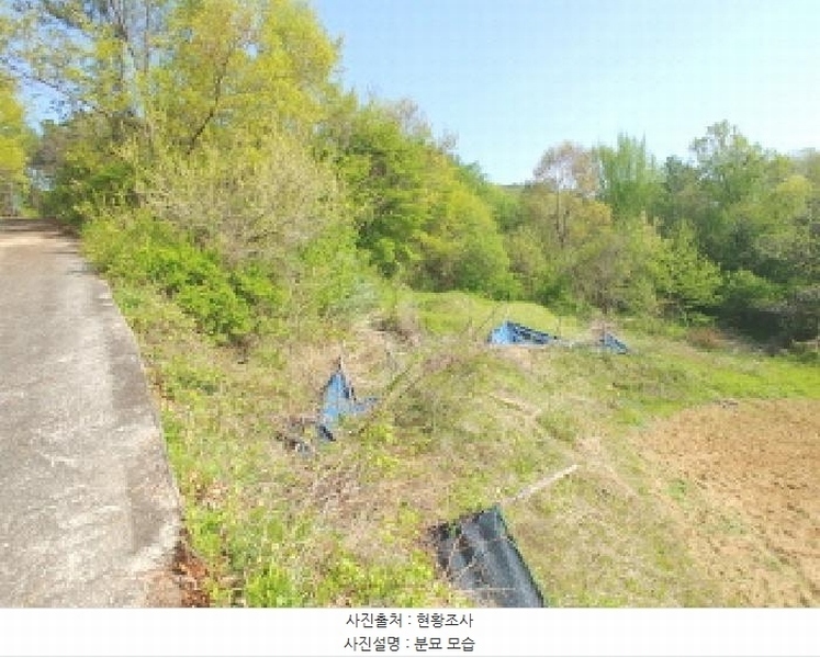 2025타경502255 충청남도 금산군 제원면 수당리 726-3 농지 경매 이미지