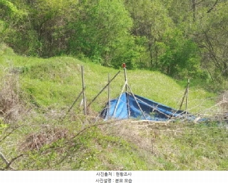 2025타경502255 충청남도 금산군 제원면 수당리 726-3 농지 경매 이미지