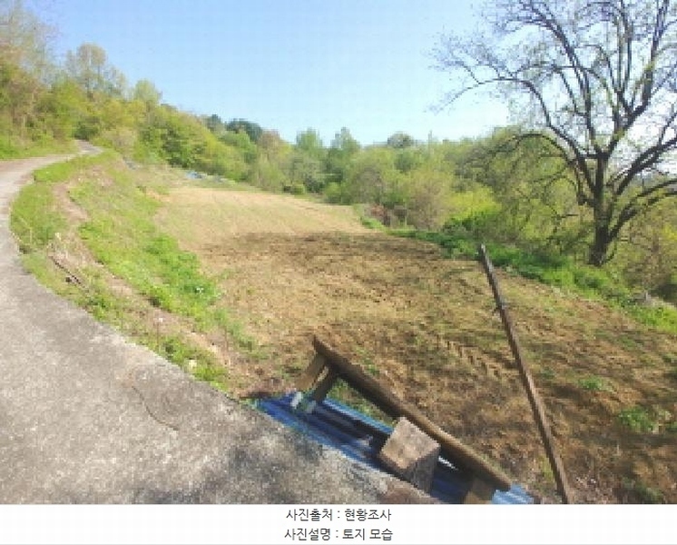2025타경502255 충청남도 금산군 제원면 수당리 726-3 농지 경매 이미지