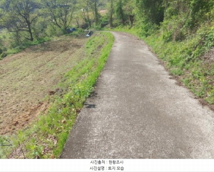 2025타경502255 충청남도 금산군 제원면 수당리 726-3 농지 경매 이미지