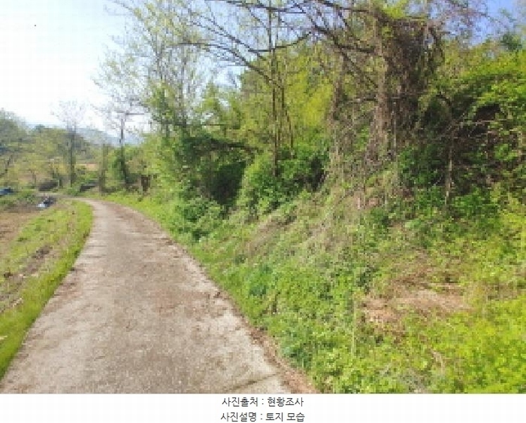 2025타경502255 충청남도 금산군 제원면 수당리 726-3 농지 경매 이미지