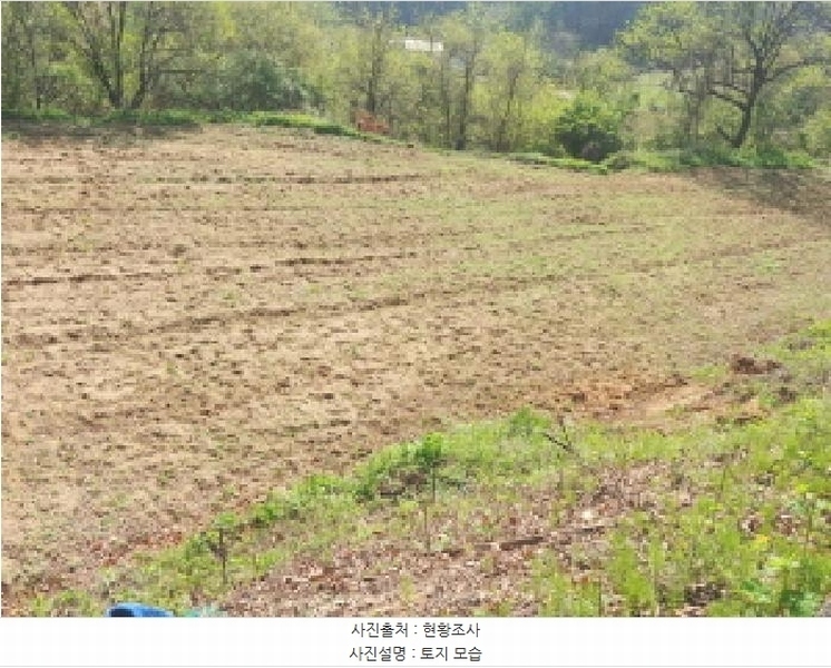 2025타경502255 충청남도 금산군 제원면 수당리 726-3 농지 경매 이미지