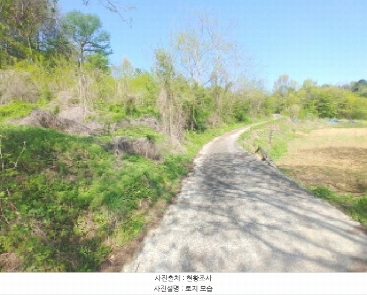 2025타경502255 충청남도 금산군 제원면 수당리 726-3 농지 경매 이미지