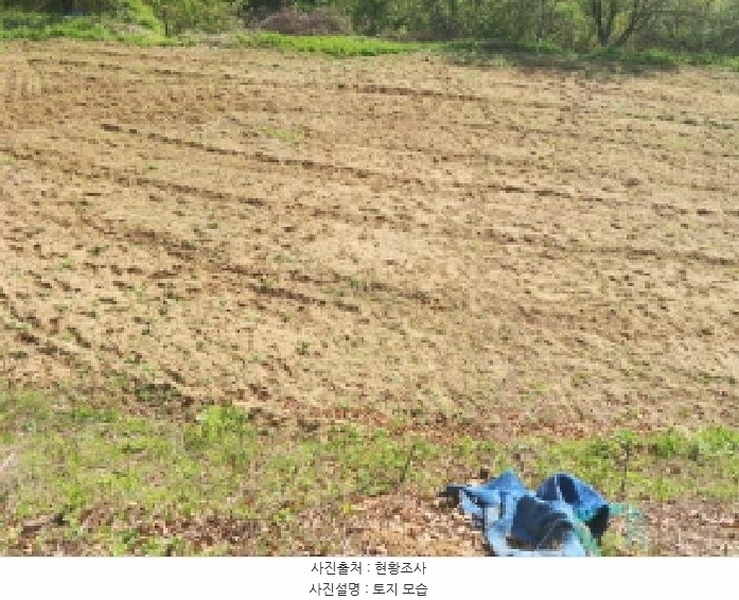 2025타경502255 충청남도 금산군 제원면 수당리 726-3 농지 경매 이미지