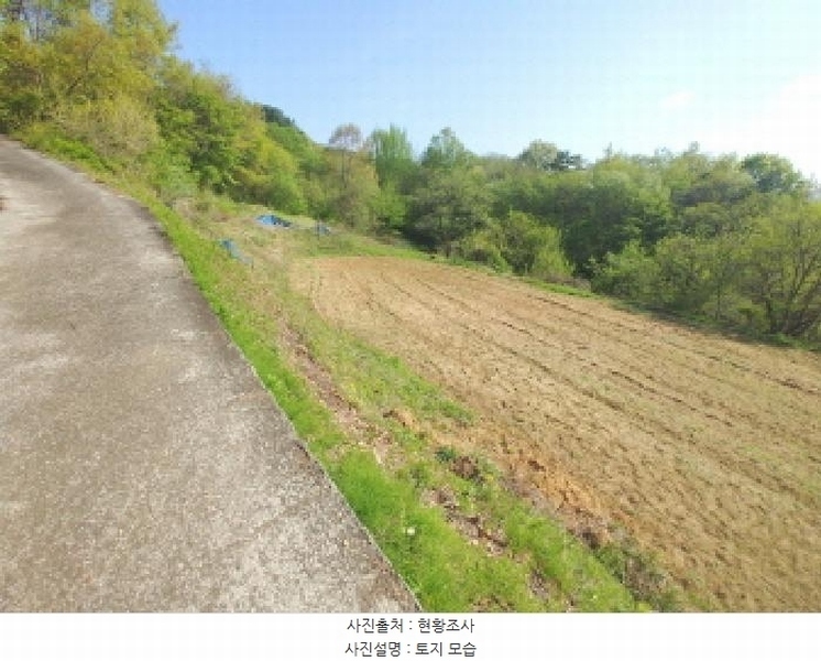 2025타경502255 충청남도 금산군 제원면 수당리 726-3 농지 경매 이미지