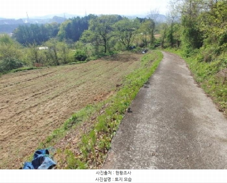 2025타경502255 충청남도 금산군 제원면 수당리 726-3 농지 경매 이미지