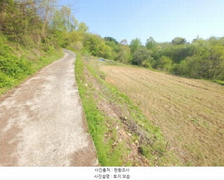 2025타경502255 충청남도 금산군 제원면 수당리 726-3 농지 경매 이미지