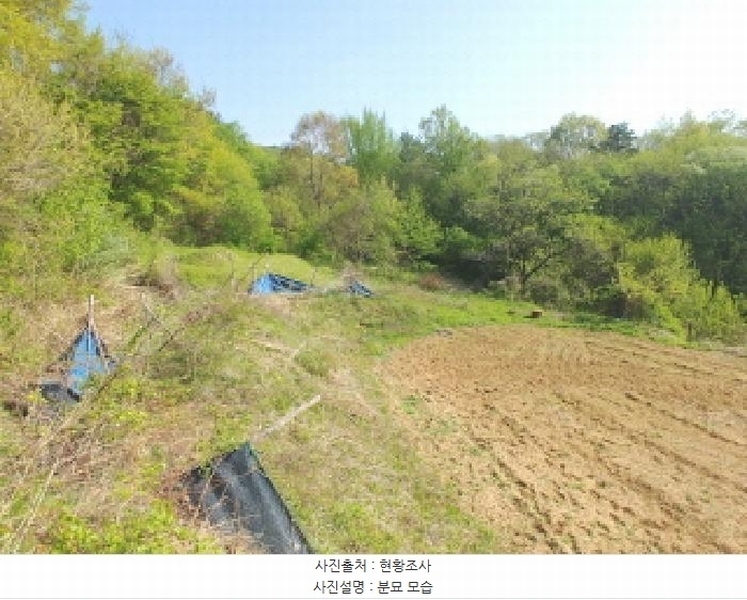 2025타경502255 충청남도 금산군 제원면 수당리 726-3 농지 경매 이미지