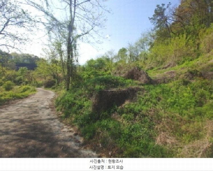 2025타경502255 충청남도 금산군 제원면 수당리 726-3 농지 경매 이미지