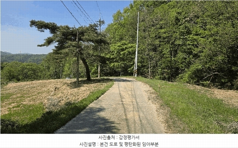 2025타경502316 세종특별자치시 연서면 고복리 180 임야 경매 이미지