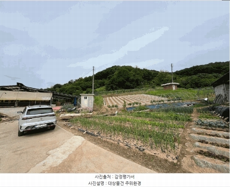 2025타경502452 세종특별자치시 전동면 송곡리 산6-16 임야 경매 이미지