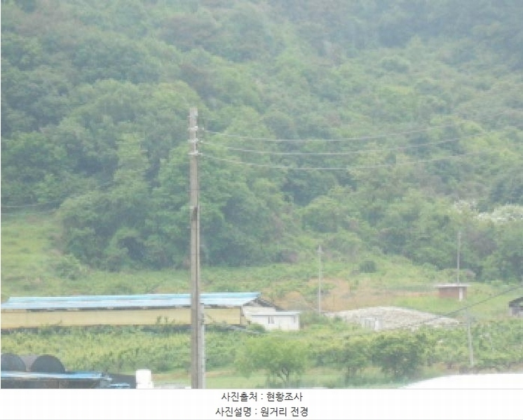 2025타경502452 세종특별자치시 전동면 송곡리 산6-16 임야 경매 이미지
