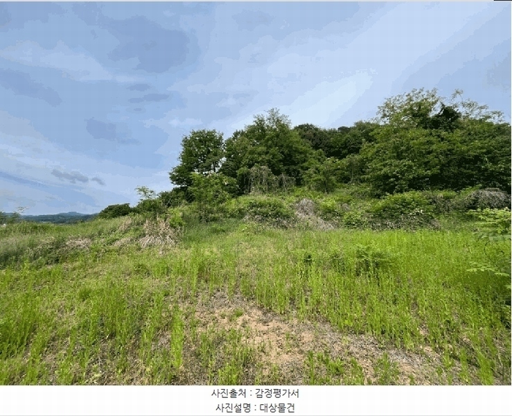 2025타경502452 세종특별자치시 전동면 송곡리 산6-16 임야 경매 이미지