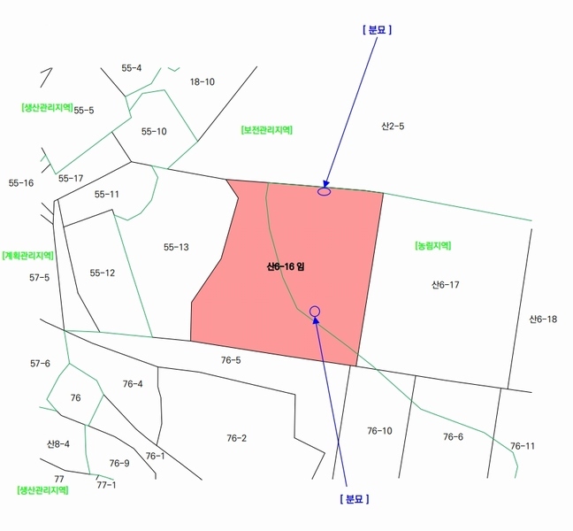 2025타경502452 세종특별자치시 전동면 송곡리 산6-16 임야 경매 이미지