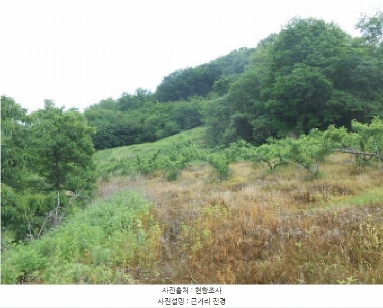 2025타경502452 세종특별자치시 전동면 송곡리 산6-16 임야 경매 이미지