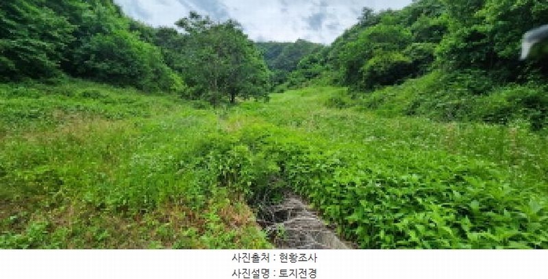 2025타경502628 충청남도 금산군 복수면 용진리 209 농지 경매 이미지