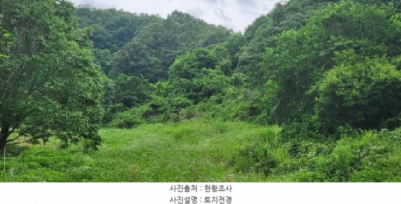 2025타경502628 충청남도 금산군 복수면 용진리 209 농지 경매 이미지