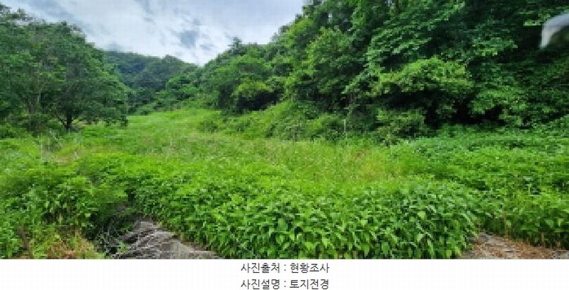 2025타경502628 충청남도 금산군 복수면 용진리 209 농지 경매 이미지