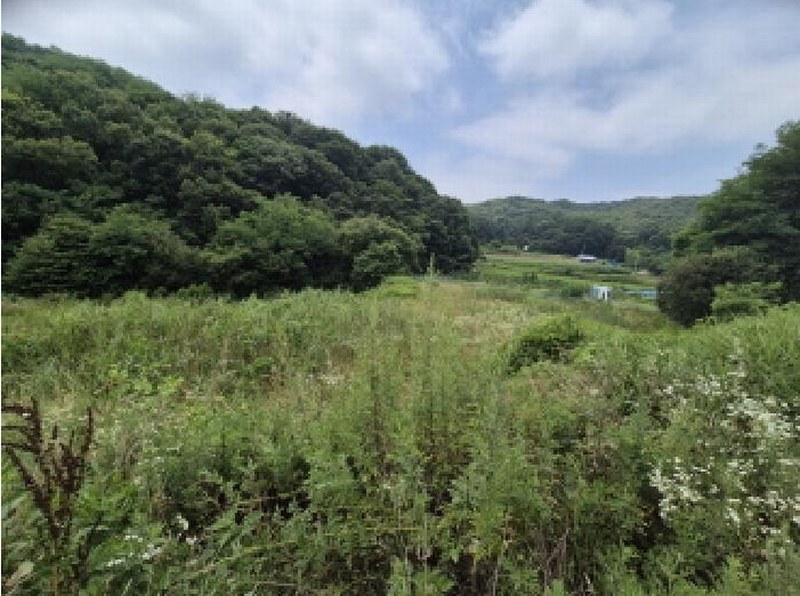 2025타경502787 세종특별자치시 조치원읍 봉산리 239 농지 경매 이미지