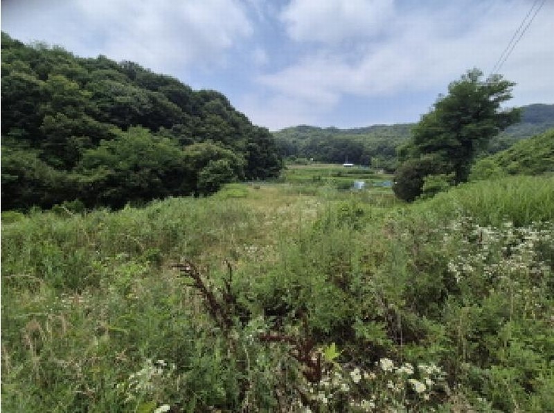 2025타경502787 세종특별자치시 조치원읍 봉산리 239 농지 경매 이미지